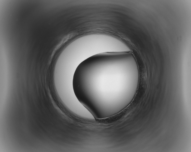 X0000084040734200703092031