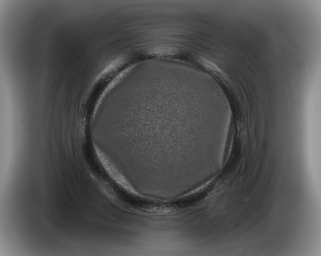 X0000084040735200703092031