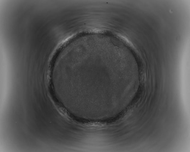 X0000084040736200703092031