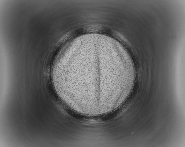 X0000084040737200703092031