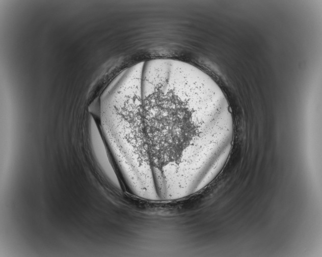 X0000084040738200703092031