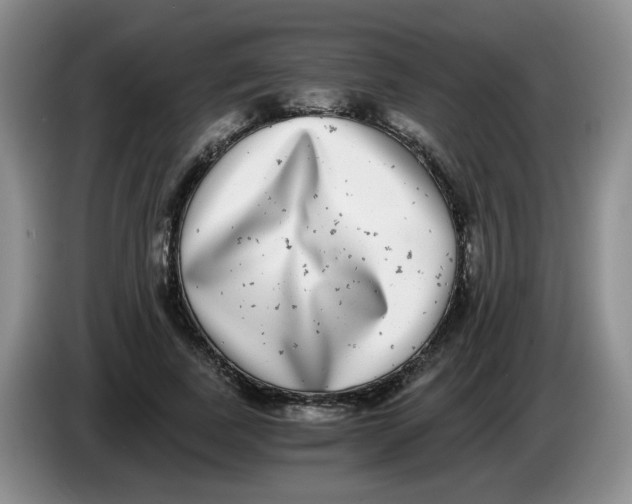 X0000084040739200703092031