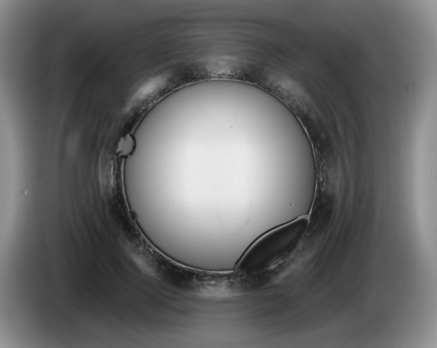 X0000084040740200703092031