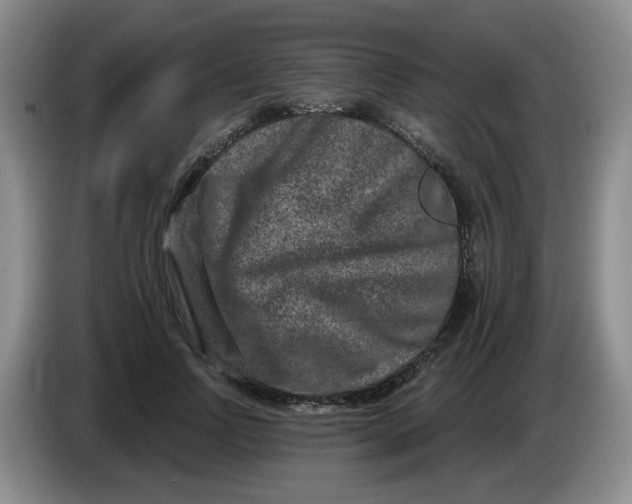 X0000084040742200703092031