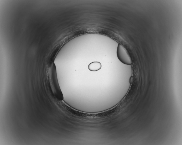 X0000084040744200703092031