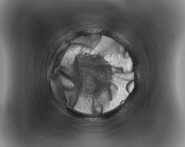 X0000084040745200703092031