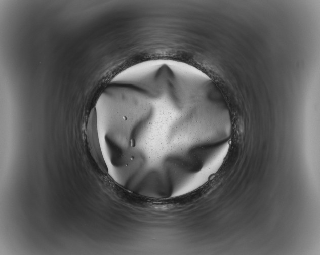 X0000084040746200703092031