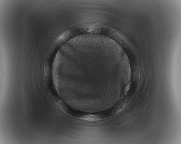 X0000084040748200703092031