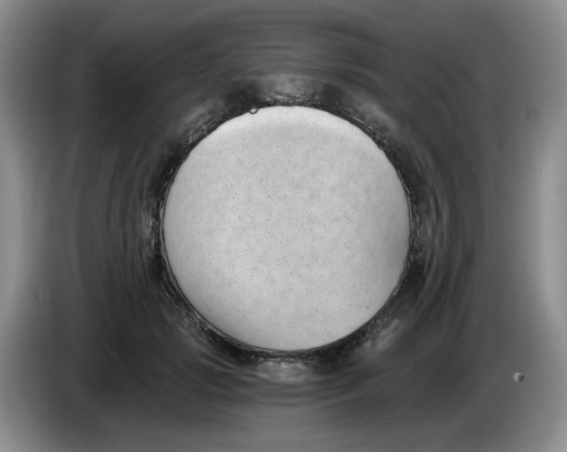 X0000084040749200703092031