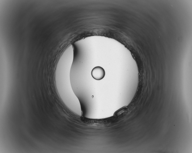 X0000084040750200703092031