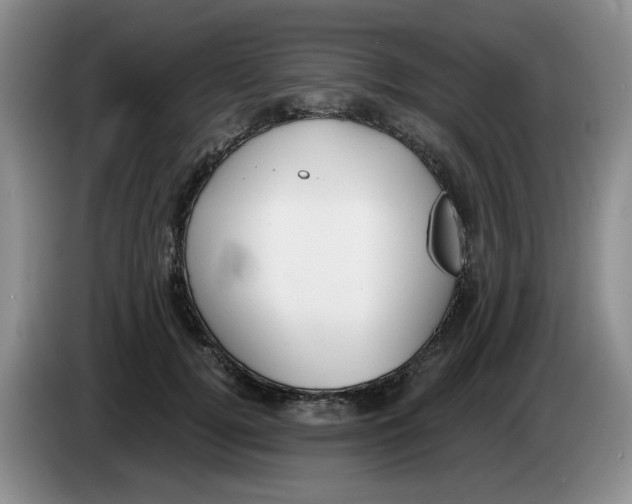 X0000084040752200703092031