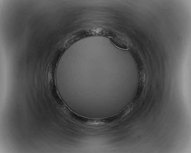 X0000084040754200703092031