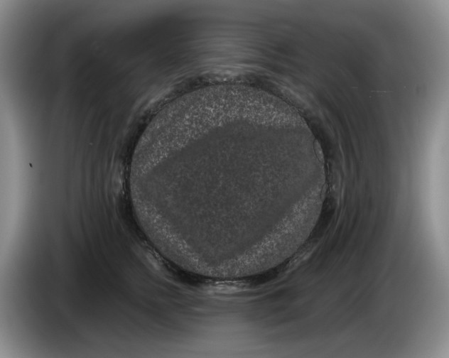 X0000084040758200703092031