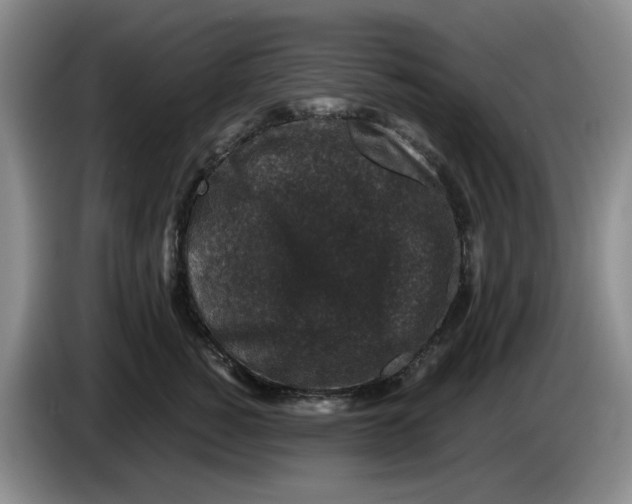 X0000084040760200703092031