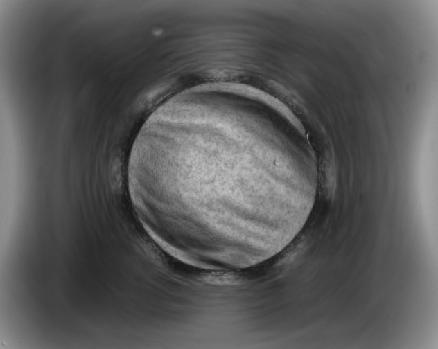 X0000084040762200703092031