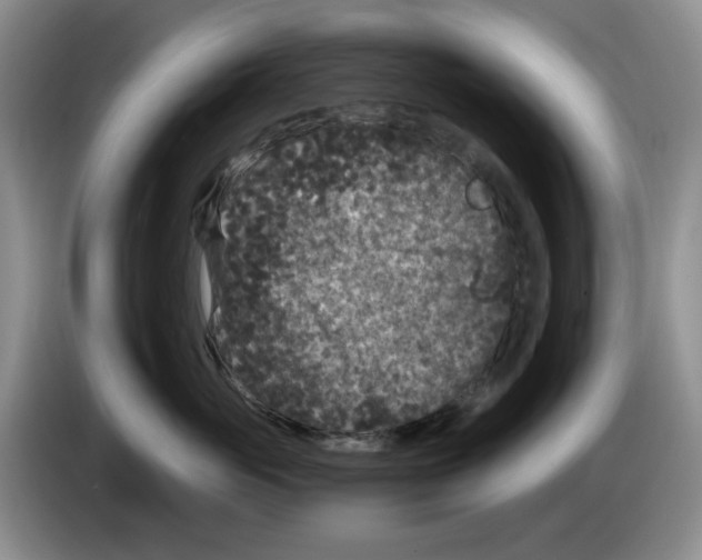 X0000084040765200703092031