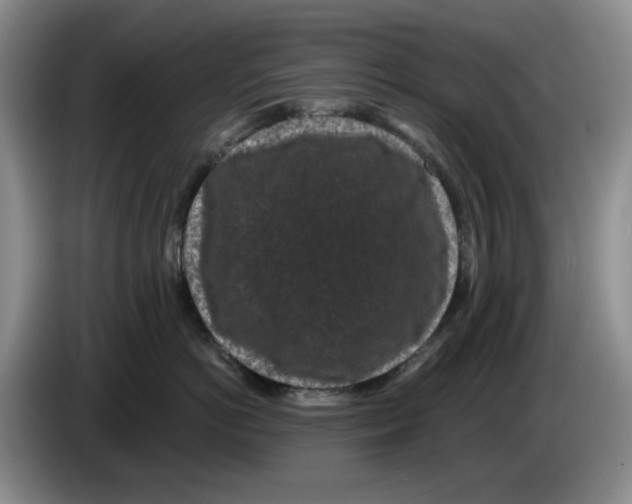 X0000084040766200703092031