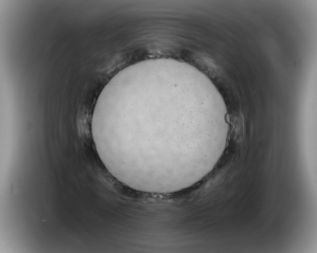 X0000084040770200703092030