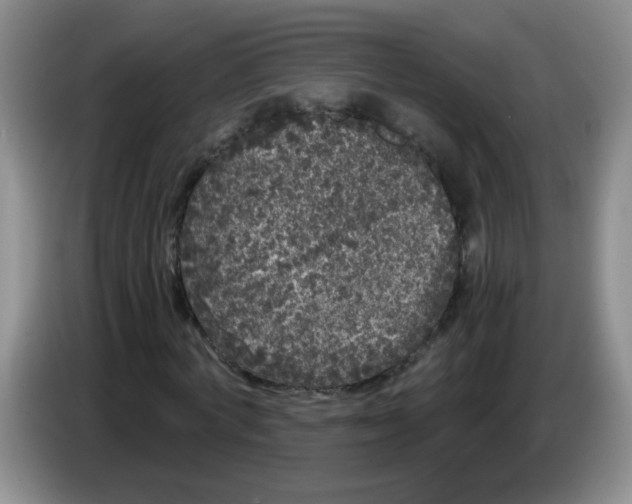 X0000084040772200703092030