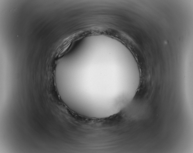 X0000084040773200703092030