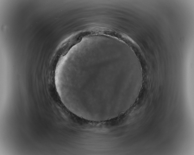 X0000084040775200703092030