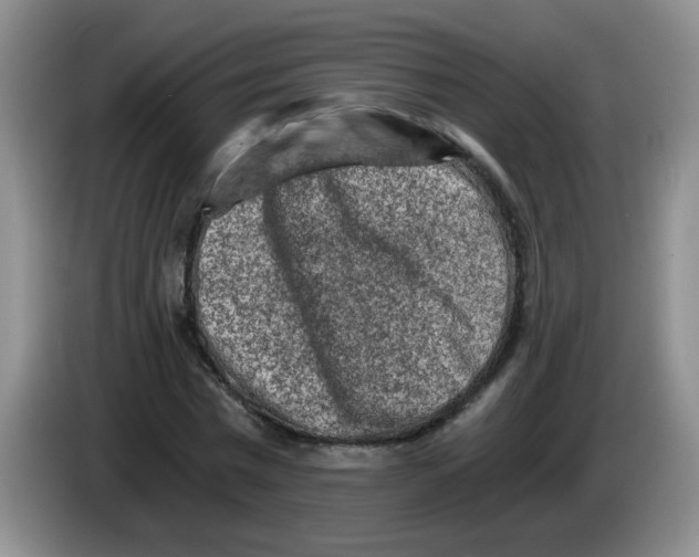 X0000084040777200703092030