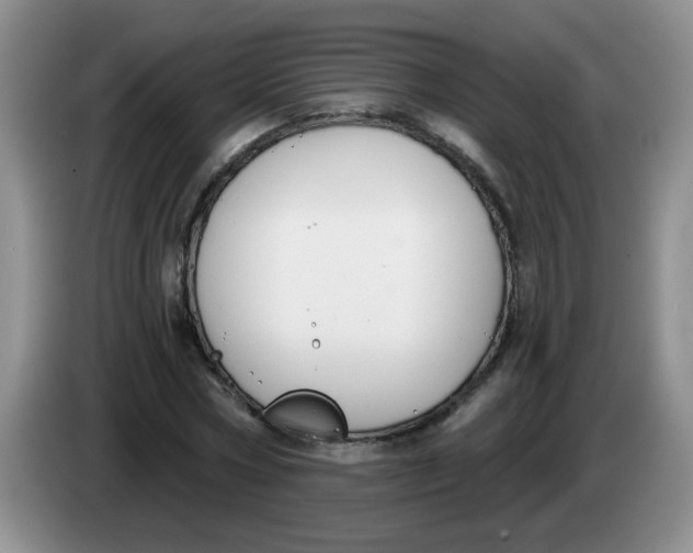 X0000084040778200703092030