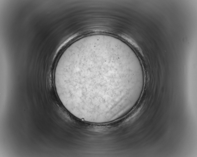 X0000084040782200703092030