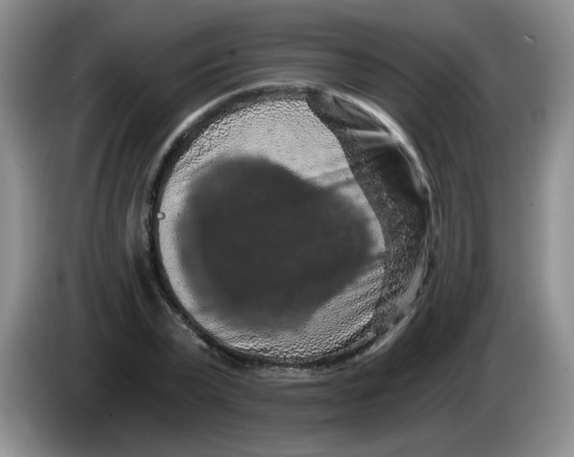 X0000084040783200703092030