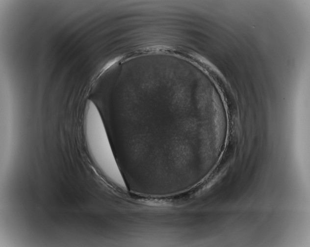 X0000084040785200703092030