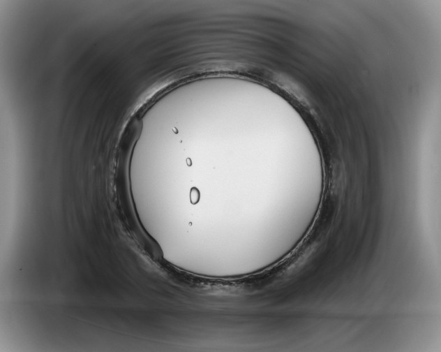 X0000084040786200703092030