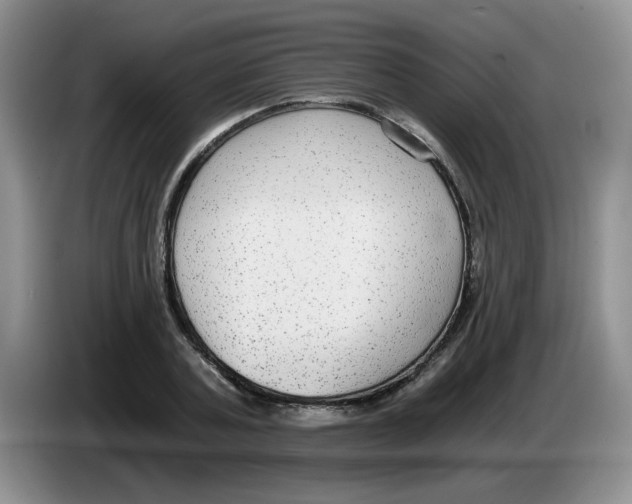 X0000084040787200703092030