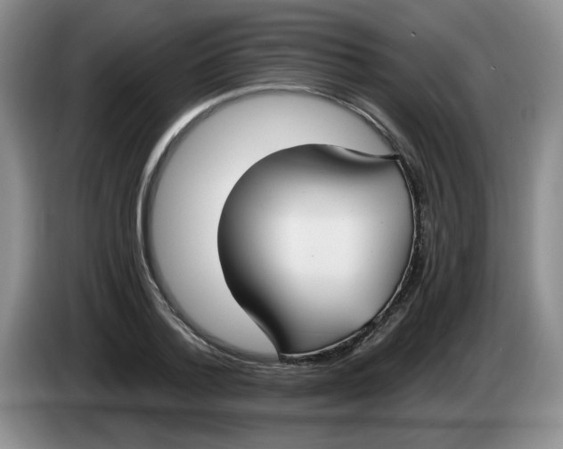 X0000084040788200703092030