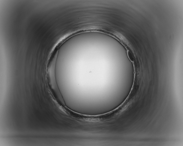 X0000084040789200703092030