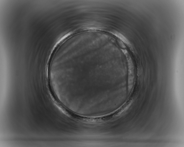 X0000084040790200703092030