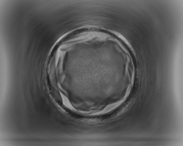 X0000084040791200703092030