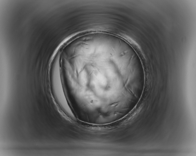 X0000084040792200703092030