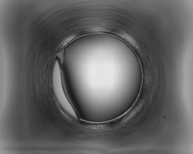 X0000084040793200703092030