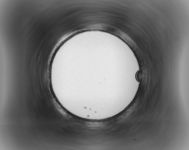 X0000084040800200703092030