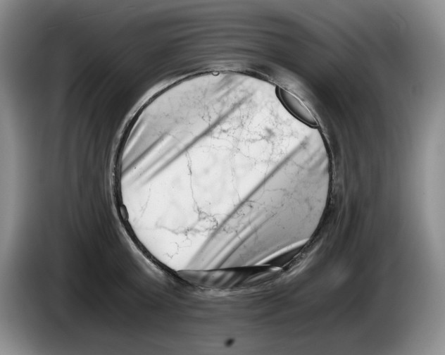 X0000084040803200703092030