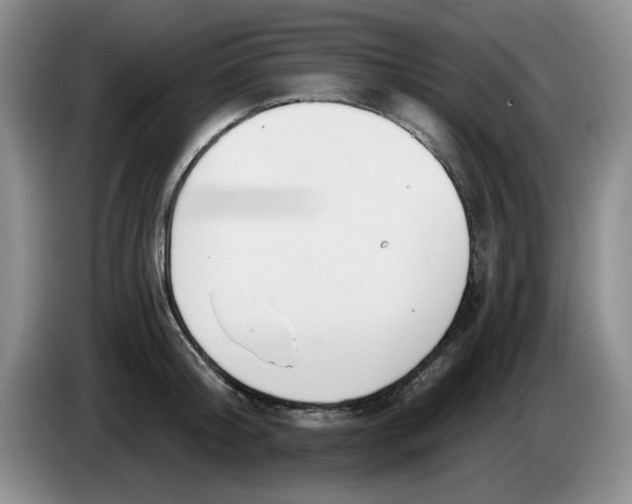 X0000084040804200703092030