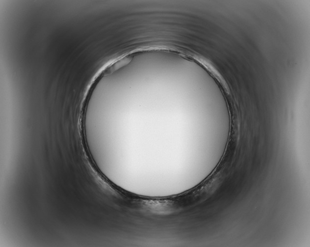 X0000084040805200703092030