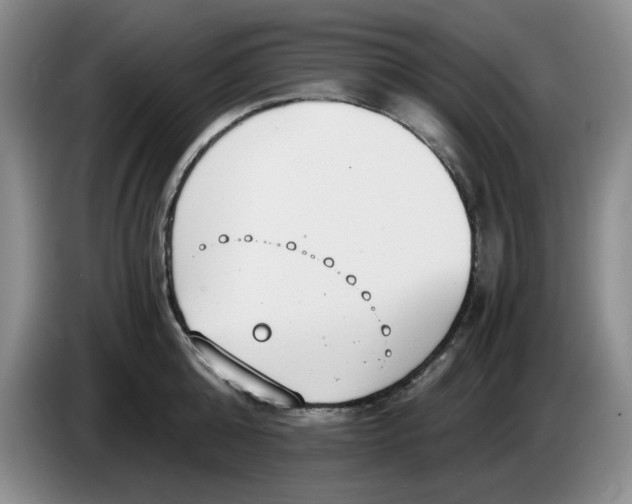 X0000084040808200703092030