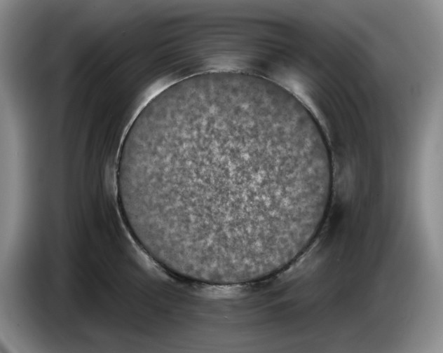 X0000084040810200703092030