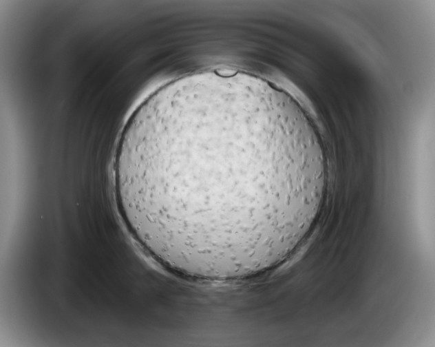 X0000084040814200703092030