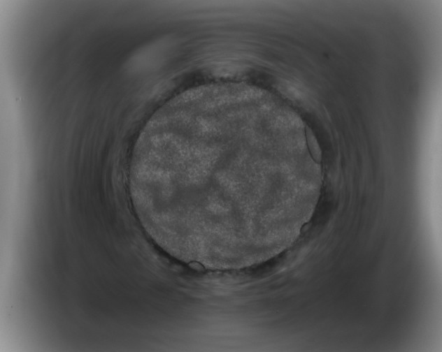 X0000084040817200703092029