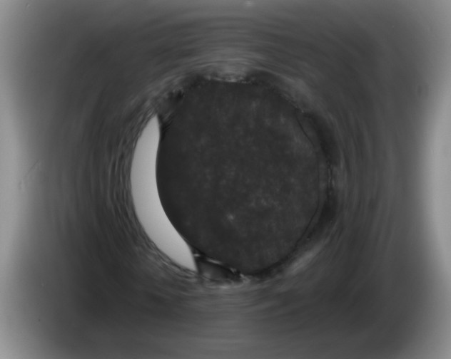 X0000084040818200703092029