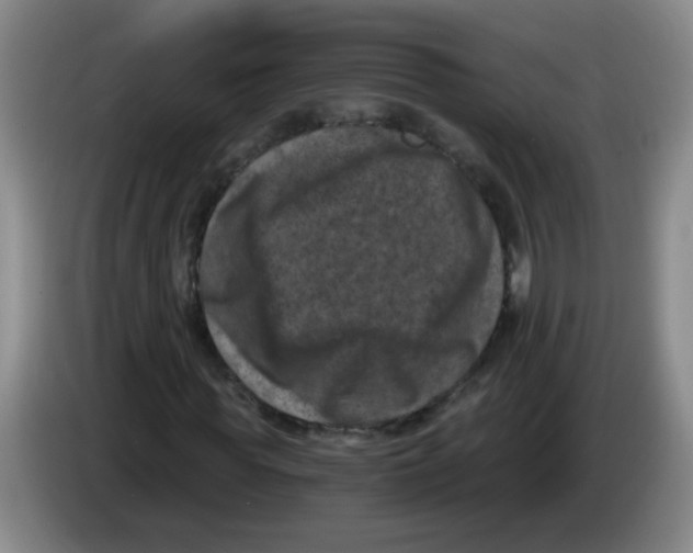 X0000084040819200703092029