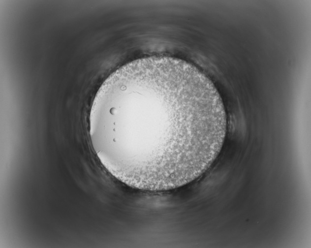 X0000084040820200703092029