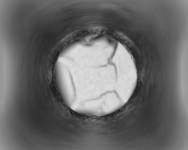 X0000084040821200703092029